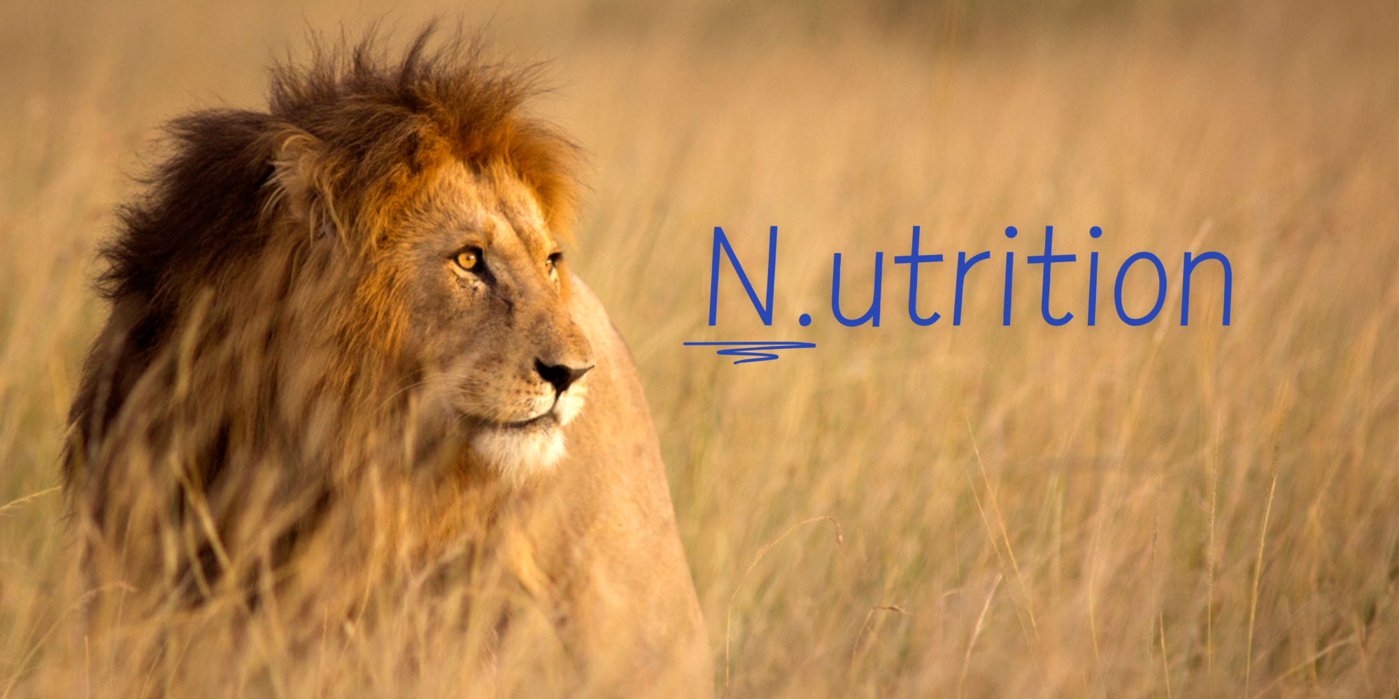 N.utrtion N.utrtion